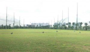 sân tập golf