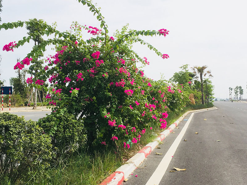 khu đô thị thanh hà đã hoàn thiện