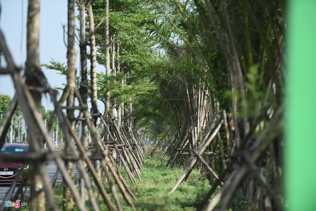 tuyến