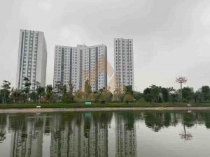 giá chung cư thanh hà cienco 5