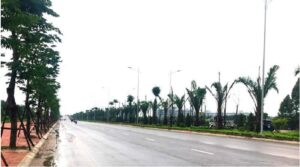 đường trục