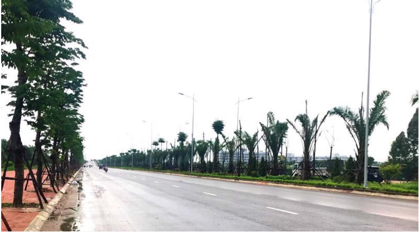 đường trục