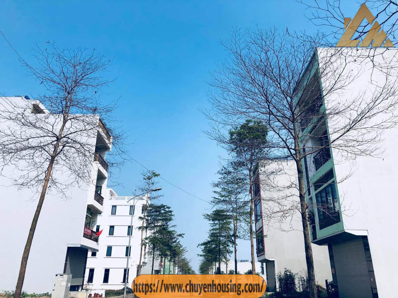 bán liền kề thanh hà cienco5