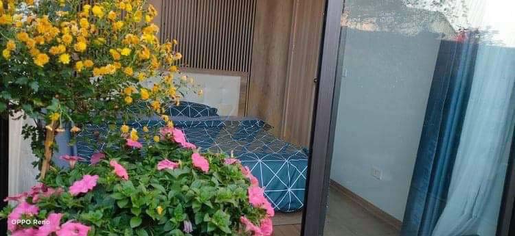 bán chung cư thanh hà b2.1 hh02 sân vườn