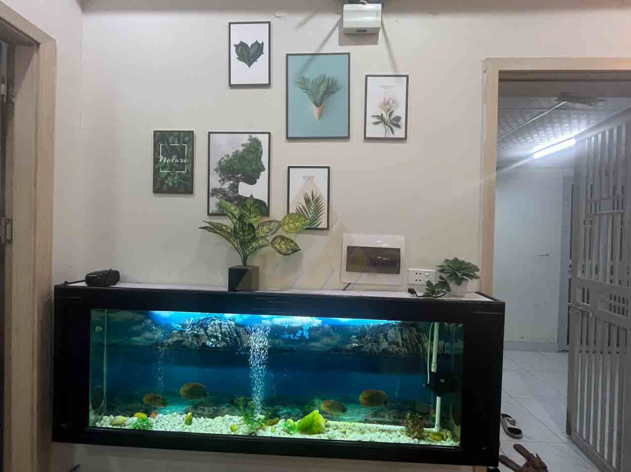 bán chung cư thanh hà b2.1 hh02d