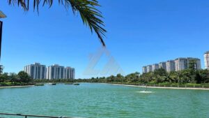 mua đất dự án