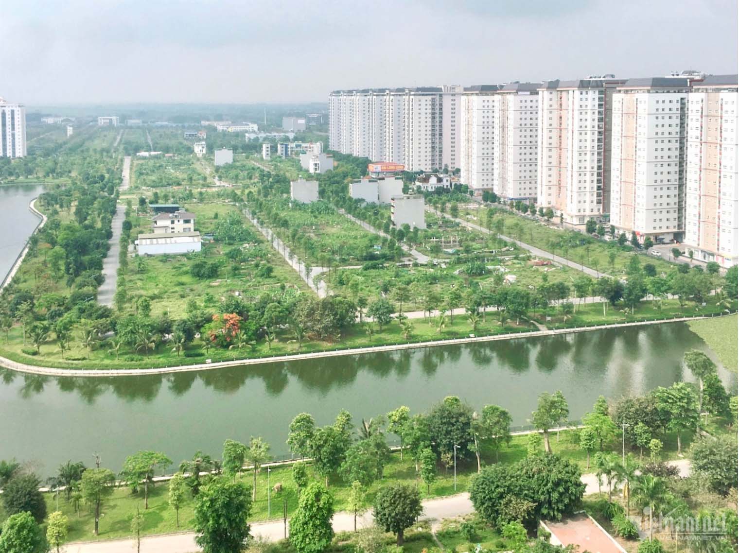 xử
