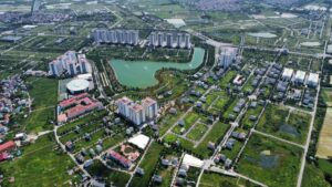 đại gia điếu cày