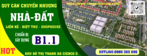 quỹ căn chuyển nhượng b1.1