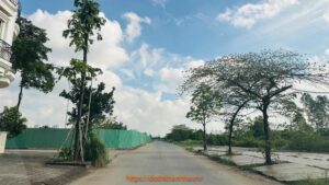 quây rào tôn xây dựng