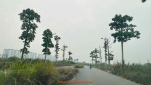 bán chung cư thanh hà full nội thất