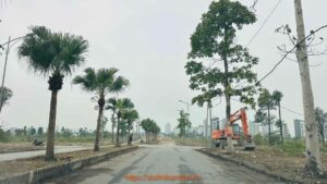 làm đường 25m a1 thanh hà