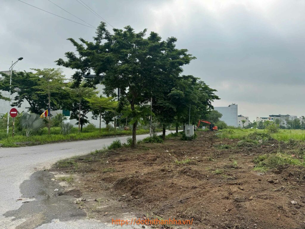 dọn dẹp mặt bằng b1.3